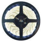 IP22-24V 5 METER 3528/60 8MM-0