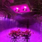 LED GROWLIGHT 192W-5269
