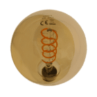 GLOBE M