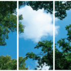 FOTOPRINT afbeelding wolk-bos verdeeld over 3 panelen 1195 x 595 mm-4098